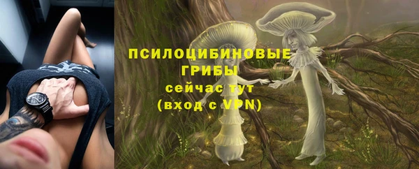 прущая мука Киренск