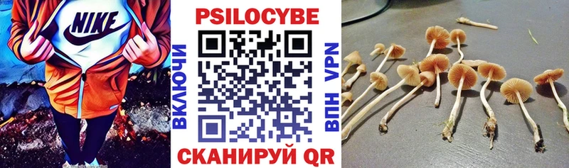 Купить где  Арсеньев  Псилоцибиновые грибы MAGIC MUSHROOMS 